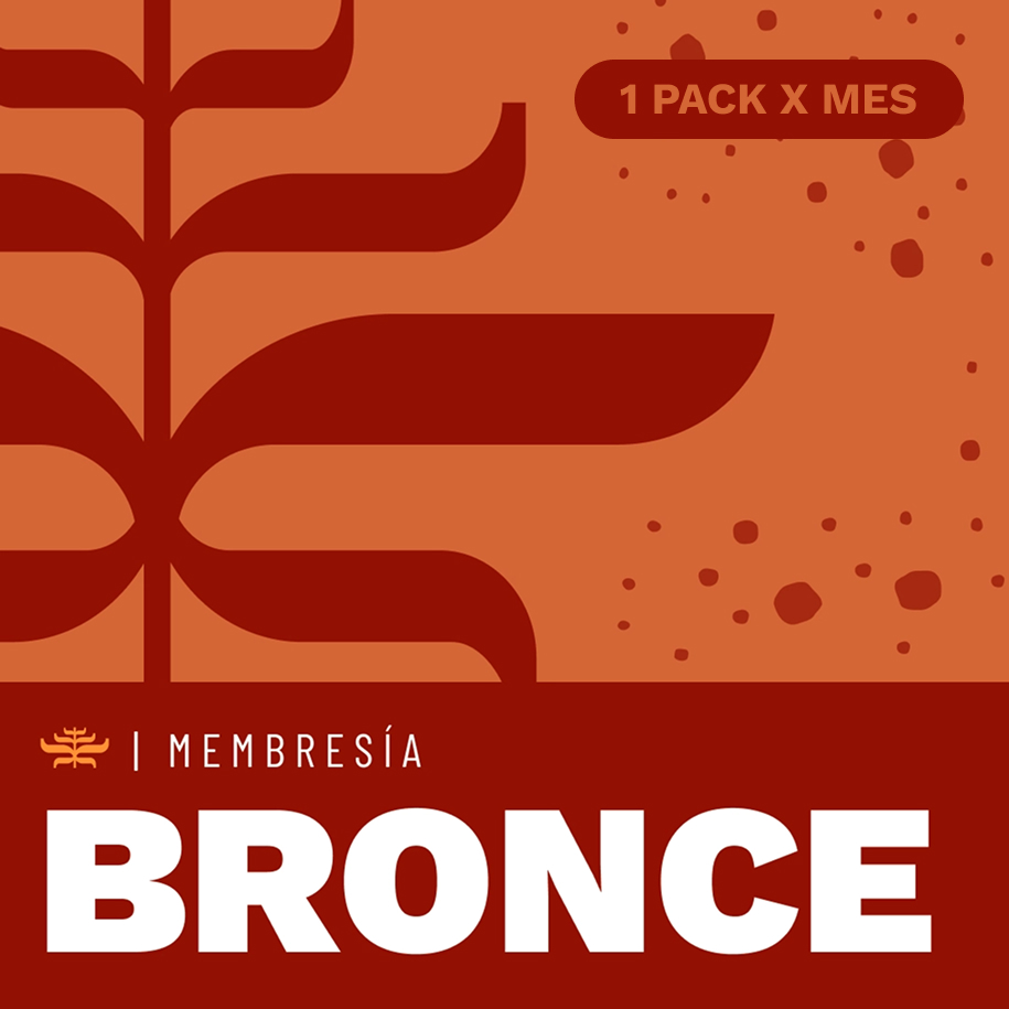 Plan BRONCE