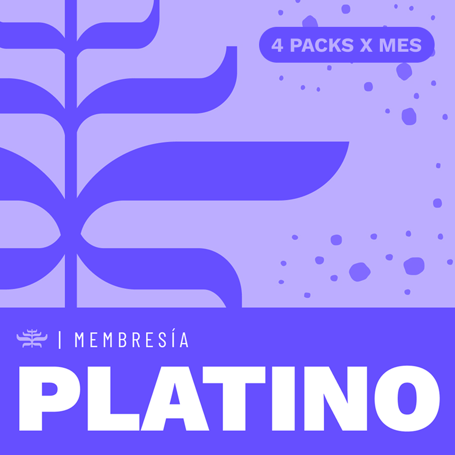Plan PLATINO